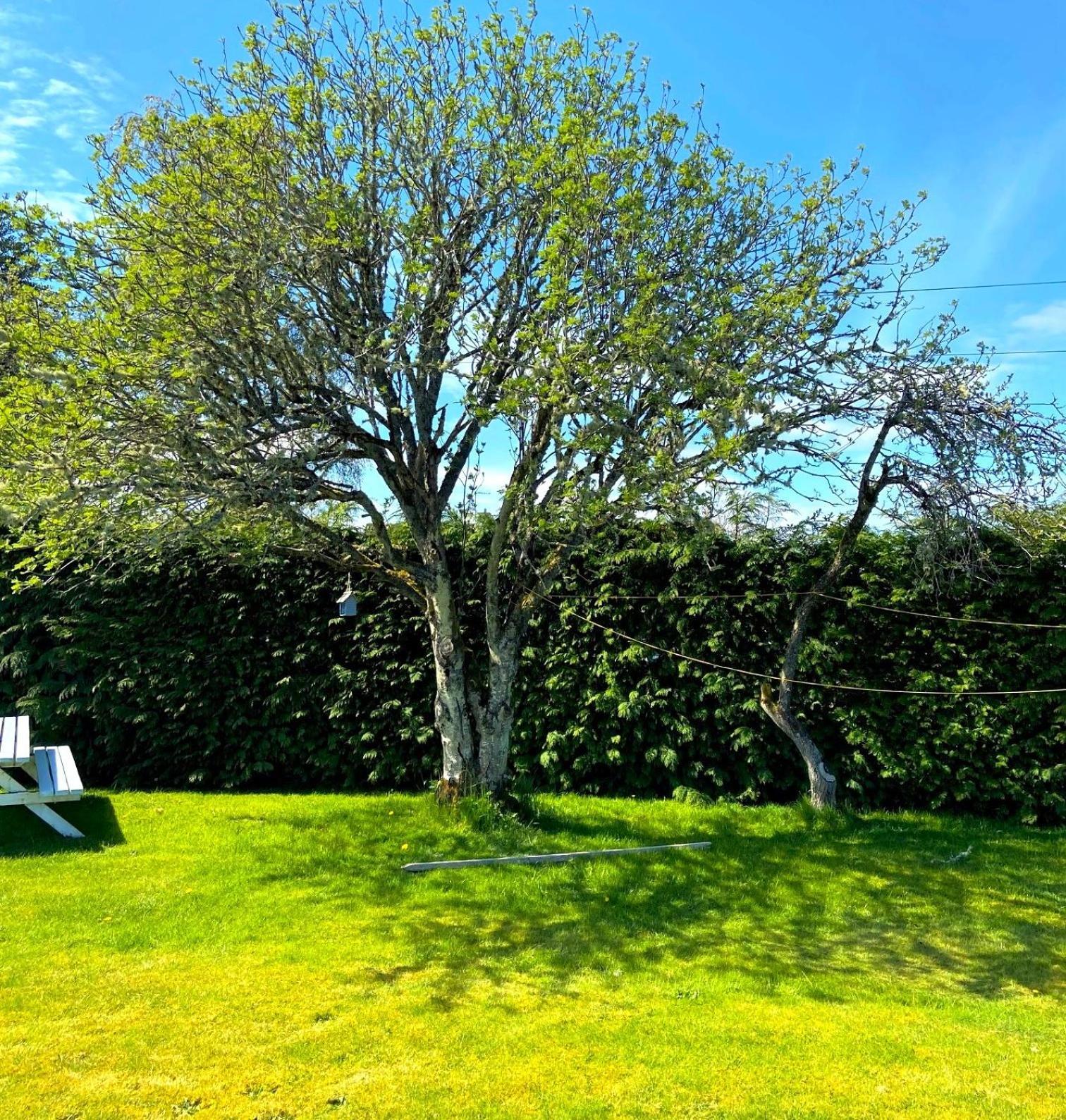 26 Green Drive Inverness Inshes Ngoại thất bức ảnh